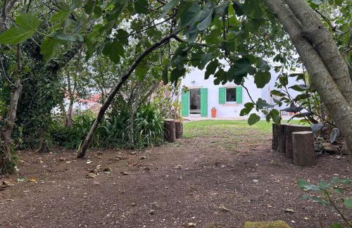 CASAS LENTAS Slow Living-Óbidos - Foto 23