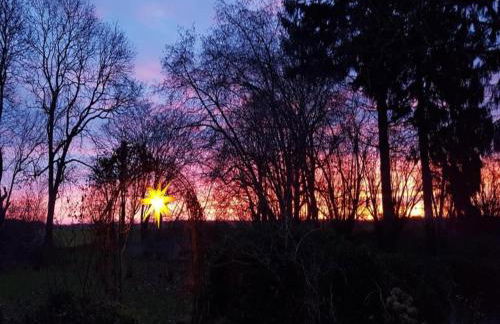 Luxuriose Ferienwohnung in Boddin mit Garten - Foto 45