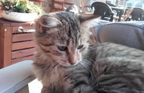 Cascinetta32 - Foto 36