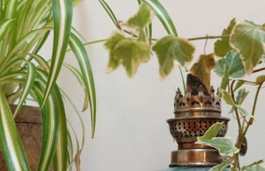 Le Chablis étoilé - Foto 8