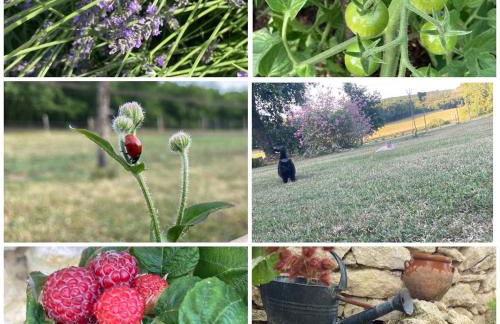 Les fontanelles du quercy blanc - Foto 59