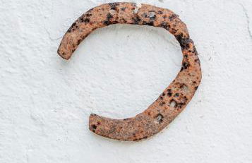 La Umbría de la Ribera - Foto 13