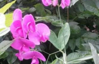 Apartment Bär by Interhome - Foto 74