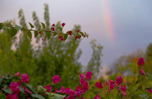 Peach Pine House - Escape Near City, Beach and Athens Airport - Foto 22