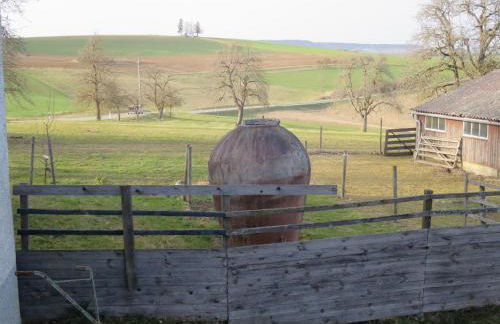 Alpaka-Ferien - Foto 44