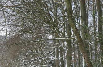 Ferienwohnung Hüppelröttchen - Foto 26