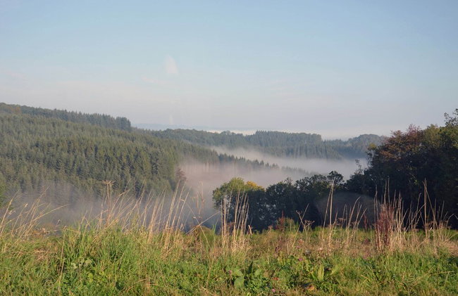Holiday Home in Peaceful Setting and Large Garden - Foto 53