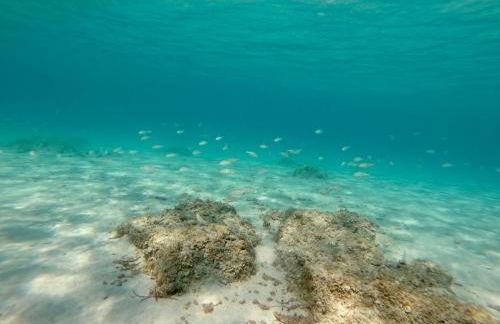 Nido del Mar - Foto 30