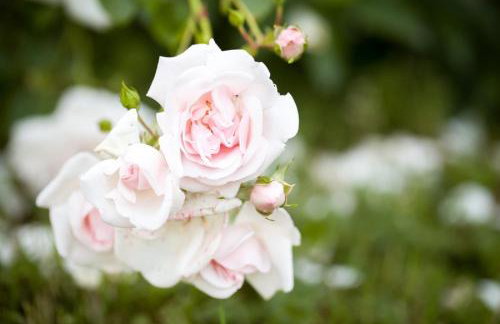 Apartament przy Kamiennej Chacie - Foto 11