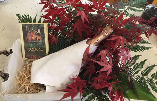 Woodlands Rainforest Retreat - Foto 23