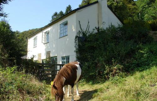 Barn Cottage - Foto 25