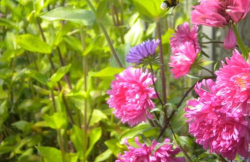 Agriturismo Il Magicorto - Photo 56