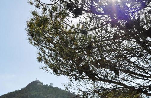 Casa de pueblo con encanto - entre mar y montaña - Foto 22