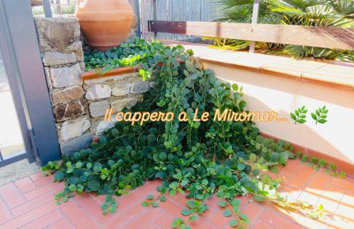 Le Miromar - Foto 73