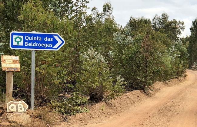 Quinta das Beldroegas - Casas de Campo - Photo 62