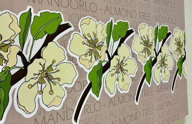 Ciuri Ciuri Guest Apartments - Foto 12