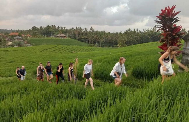 Balitrees Retreats - Foto 16