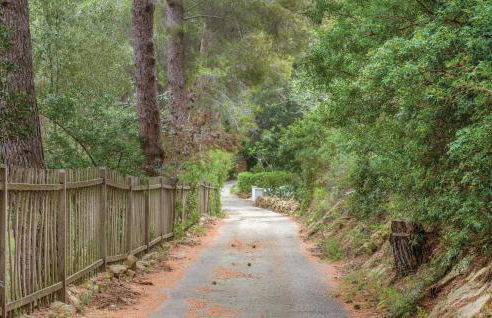 C San Nicolas - Foto 34