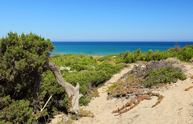 Baia delle Mimose - Foto 22
