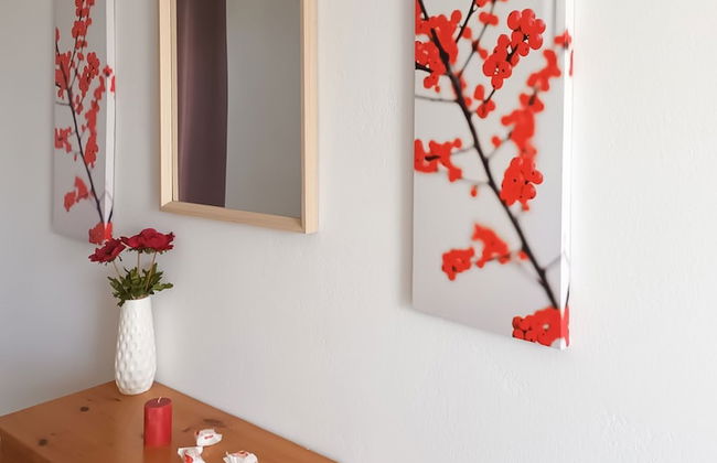 Lecini Studios - Foto 13