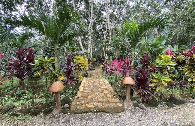 Eco Hotel Pata Palo - Foto 14