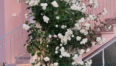 A casa di Albino e Giovannina - Foto 3