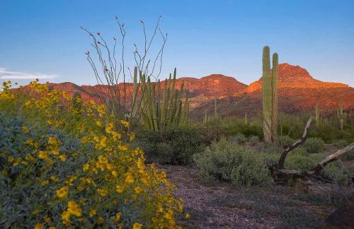 Villa De Paradis - Foto 46