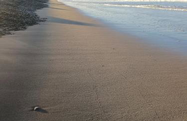 Ollys House - Photo 15