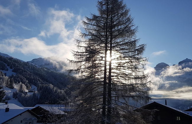 Oberriedstrasse 5 - Foto 8