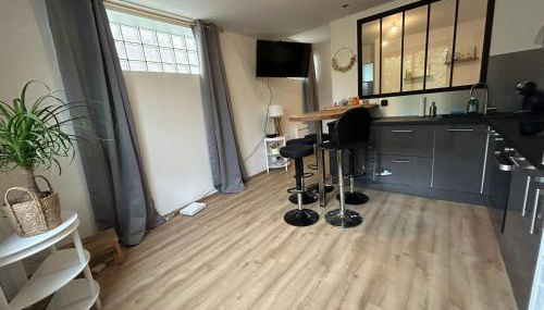 Studio CF Cosy Proche Gare, Centre Ville et Toutes Commodites - Foto 3, stove