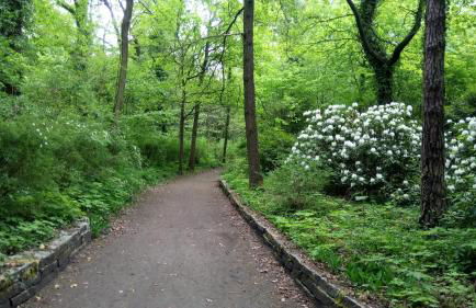 Haus Waldidyll - Foto 25