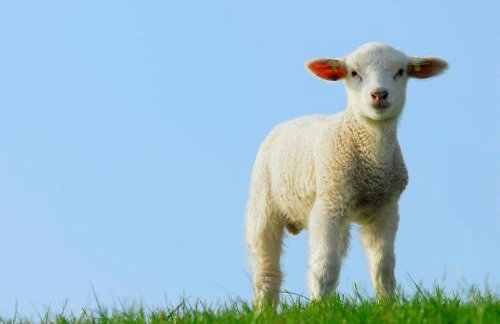 2 Bed in Whitwell oc-o33499 - Foto 22