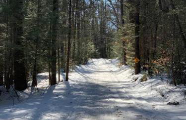 Quietude - A 60-Acre Historic Mountain Estate with 10 bedrooms - Foto 38