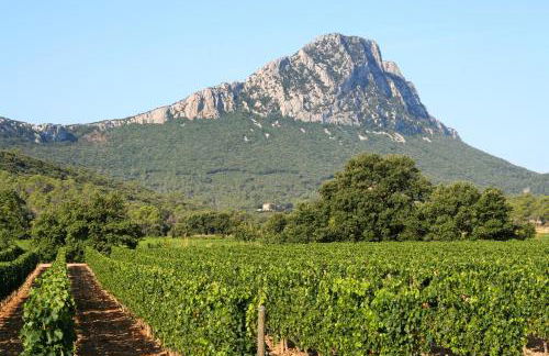 Duplex 120m2 Central Comédie Corum Climatisation Parking - Foto 22