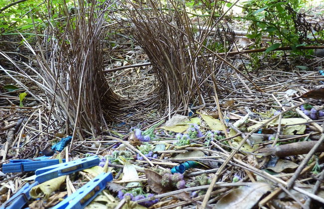 Bellthorpe Stays - Foto 39