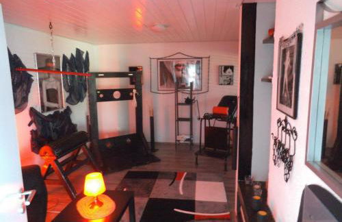 Exclusiv-Mietapartment (BDSM)-Heidelberg - Foto 3