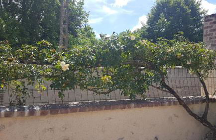 Les Cavelots à Vendôme - Foto 18