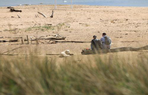 Apartament Komandorski przy Aquaparku - Foto 66