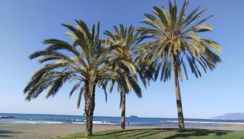 Apartamento Alhóndiga El Palo - Photo 4