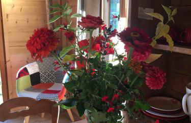 Chalet la Cabane d'Ernestine, petit-déjeuner inclus - Foto 15