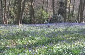 La Parenthese Bois de Cise - Foto 26