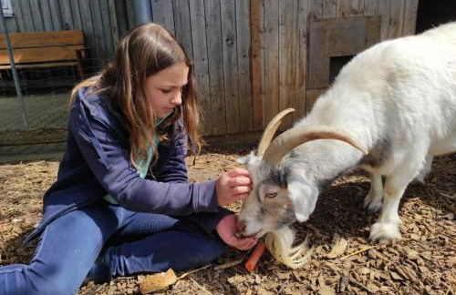 Ferienhof Veit - Foto 25