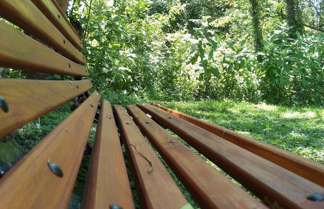 Allegra Casas de Campo - Foto 22