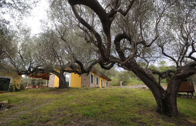 Barnìa - Agriturismo - Photo 46