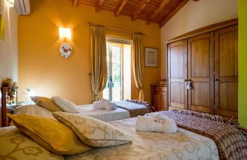 CasaT5, Férias, Piscina Privativa. Águeda, Aveiro - Foto 58