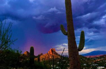 Kimberly Surprise - Foto 45