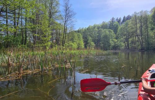 Dom Na Szlaku Mazury - Photo 43