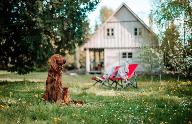 Large Holiday Villa With Garden, 6 Bedrooms - Foto 20