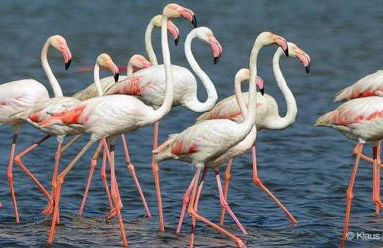 Apartamento Sol y Mar - Foto 27