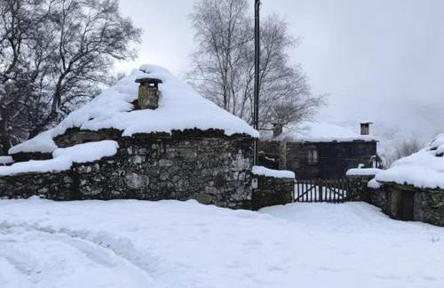 Cardenha das Formiguinhas - Foto 30